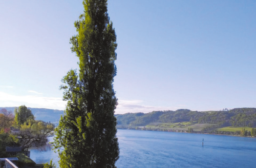 Bodensee