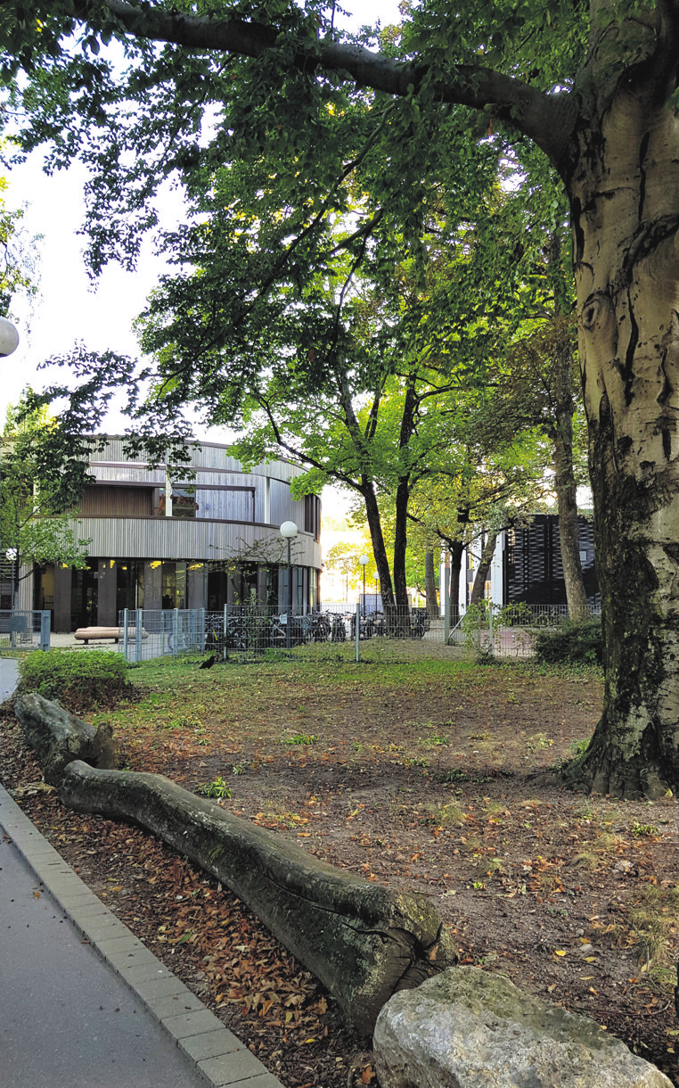Der Campus Lindenschule befindet sich unmittelbar am Neckar. Dieser ist in die langfristigen Visionen der Landeshauptstadt Stuttgart als „Stadt am Fluss“ im Masterplan „Erlebnisraum Neckar“ mit eingebunden. Foto: Tatjana Eberhardt