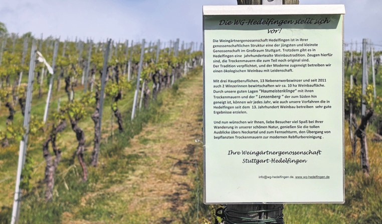 Der Wein spielt bei dieser Tradition eine große Rolle. Foto: Brand