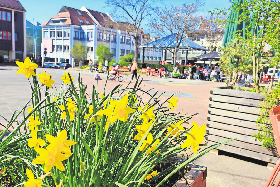 Am Vaihinger Markt ist der Frühling angekommen. Foto: Eva Herschmann