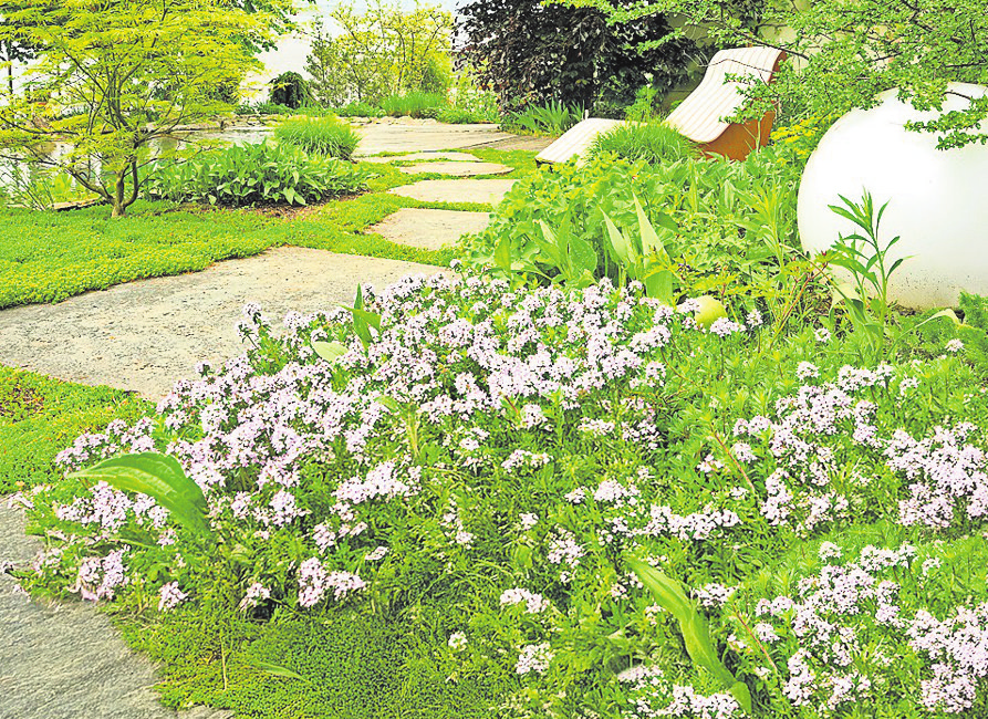 Ein Traum von einem Stück Natur, gemacht vom Team aus Weissach-Flacht
