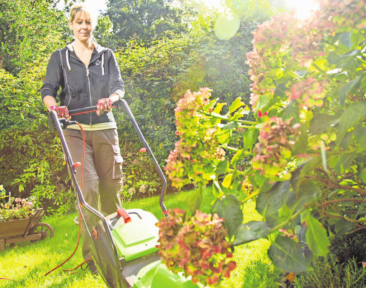 Der Rasen muss auch im Herbst gepflegt werden. Foto: dpa-tmn