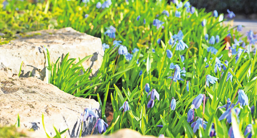 Im Frühling gilt es, die Beete fit für den Sommer zu machen.