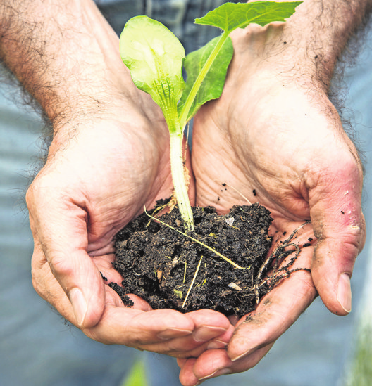 Gartenarbeit ist erfüllend. Foto: pa/dpa-tmn