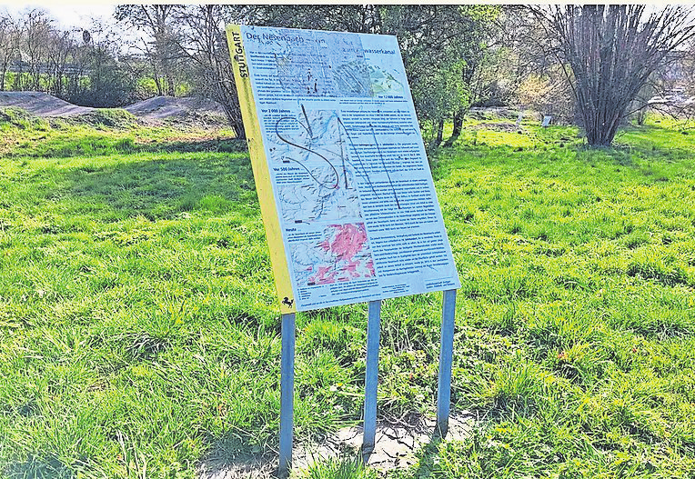 Nesenbach-Quelle in den Honigwiesen. Foto: z