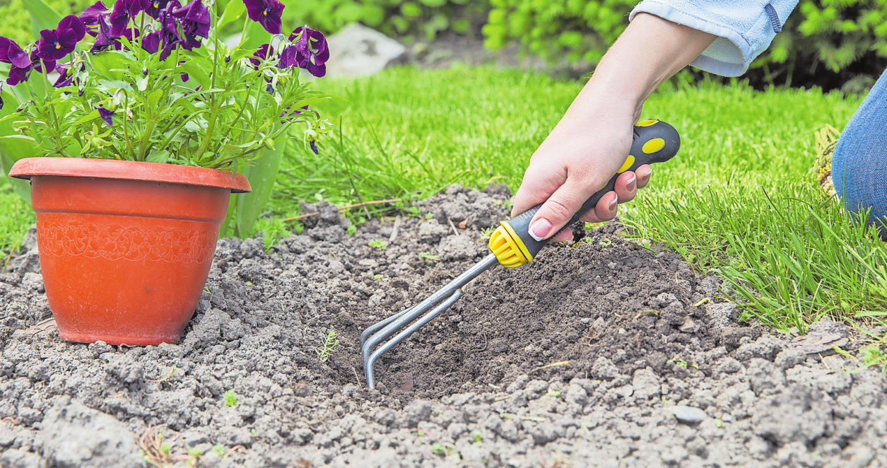 Die Gartenarbeiten beginnen im März. Foto: Pixabay