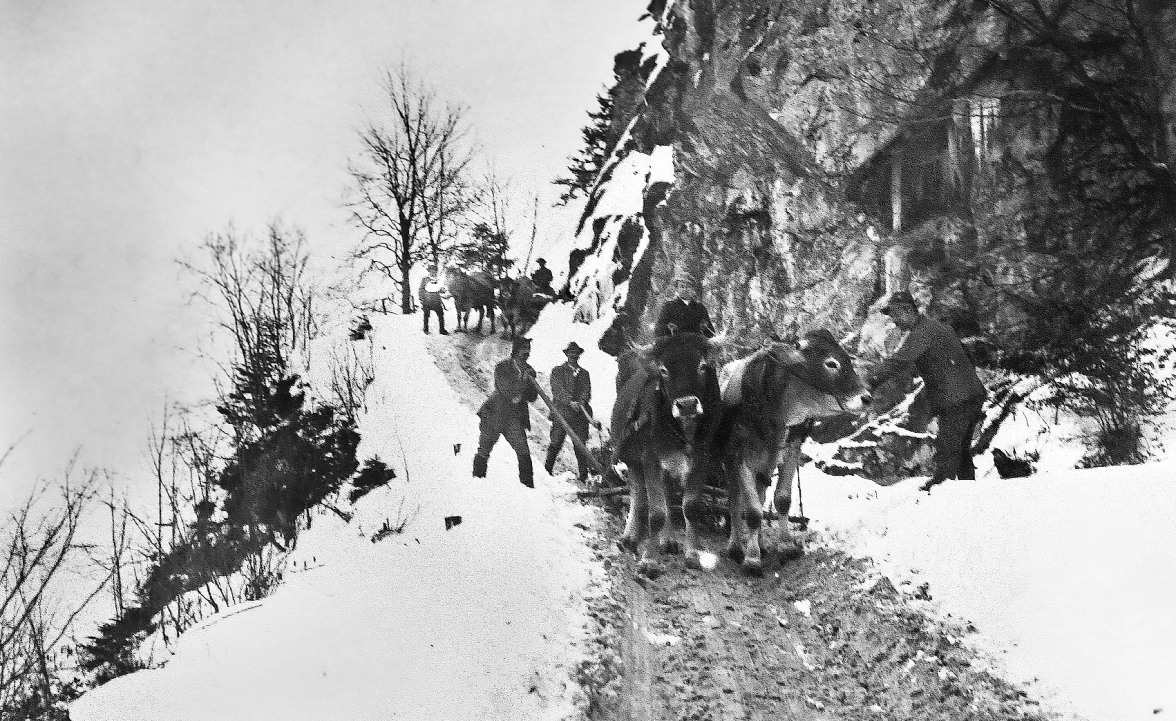 Vereiste Wege und erschwerte Arbeitsbedingungen: Ein Fuhrwerk transportiert Material über die steilen Serpentinen zur Großbaustelle.