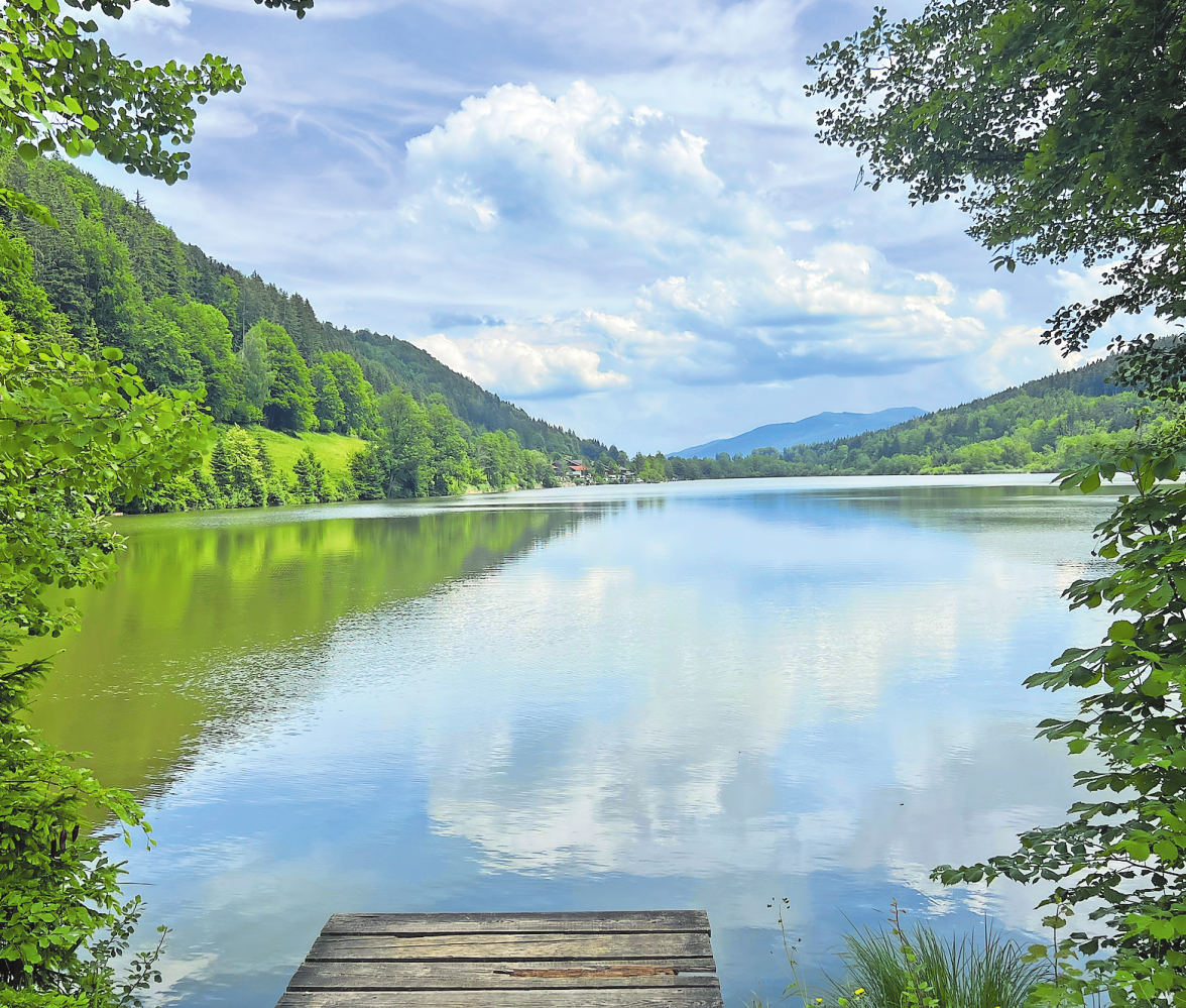 Der Stallauer Weiher zwischen Bad Tölz und Bad Heilbrunn. Foto: Susanne Hauck