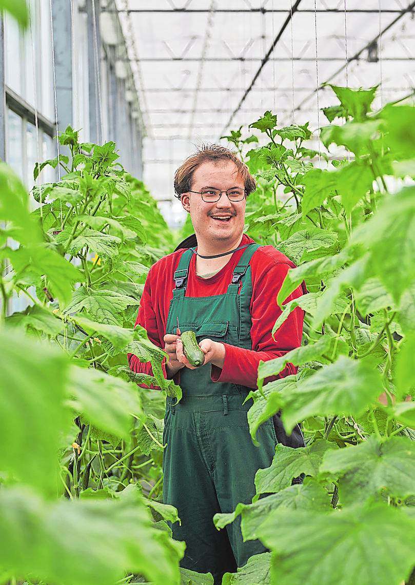 Oben links: Macht sichtlich froh: Die Früchte der Arbeit in den Händen halten. Fotos: Diakonie München und Oberbayern / Felix Baab