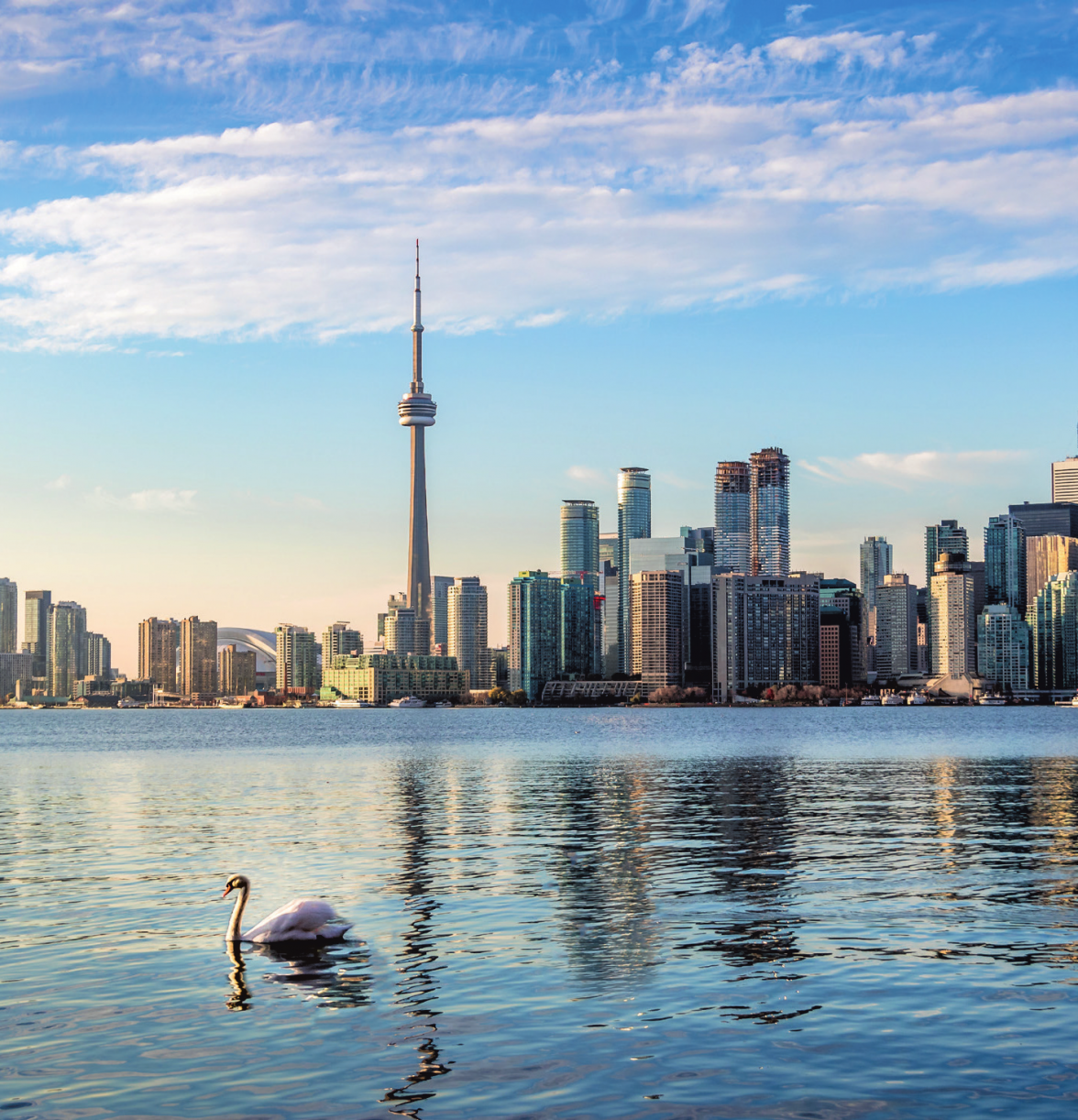 Ein Schwan auf dem Ontariosee. ©diegograndi - stock.adobe.com. GLOBALIS