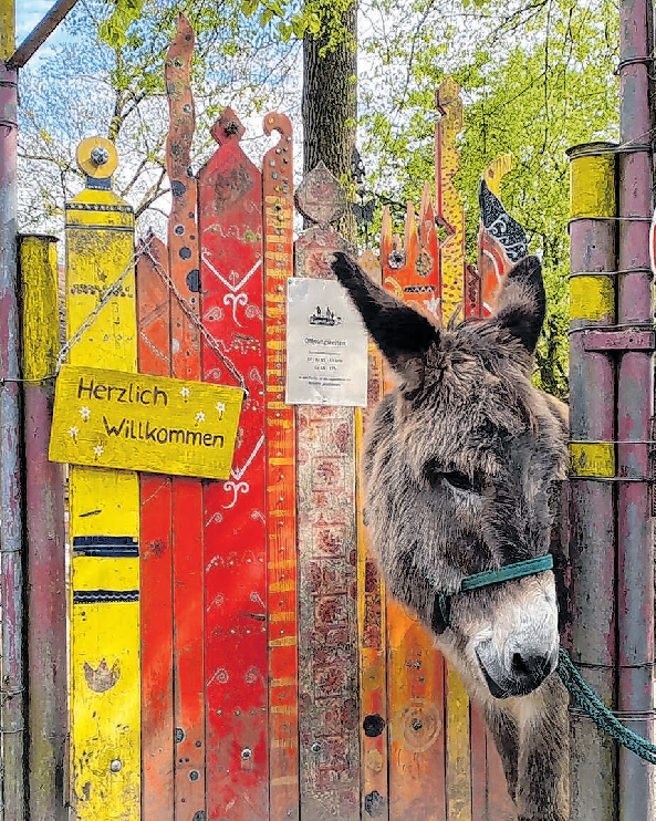 Die AG West trägt zahlreiche Projekte im Stadtteil, wie hier im Bild die Jugendfarm. Foto: privat