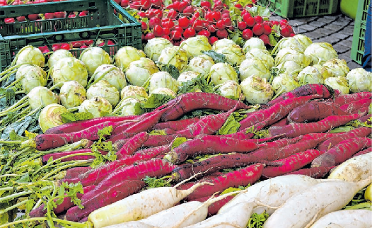 Zum vielfältigen Angebot der Händler gehören die Söflinger Rettiche ebenso wie farbenprächtige Blumen.
