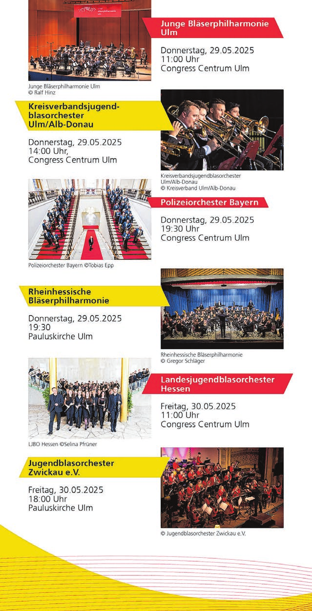 Ein Flyer gibt Auskunft über die kostenpfichtigen Konzerte des Deutschen Musikfestes in Ulm und Neu-Neu-Ulm. Foto: Veranstalter