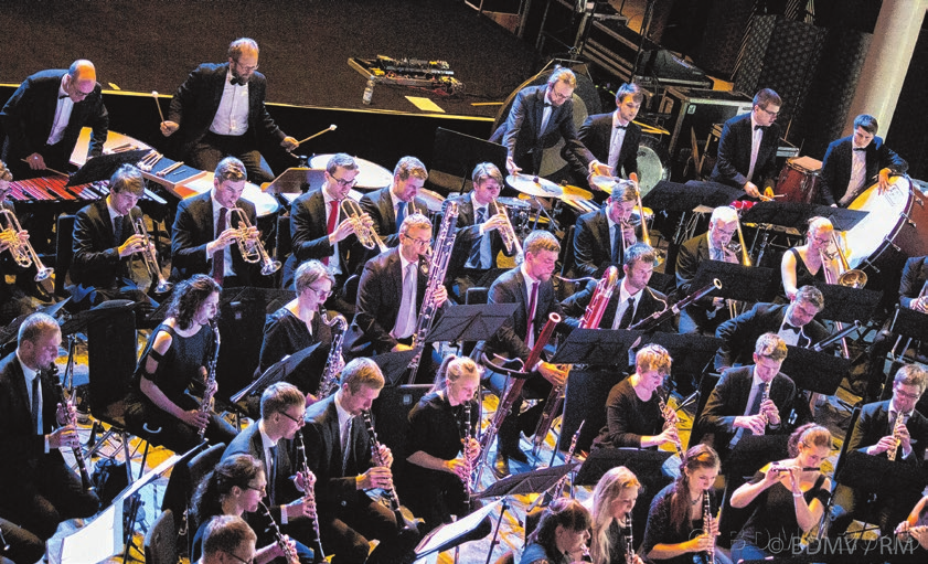 Musik vom Feinsten wird beim Musikfest 2025 in der Doppelstadt zu hören sein. Foto: Veranstalter