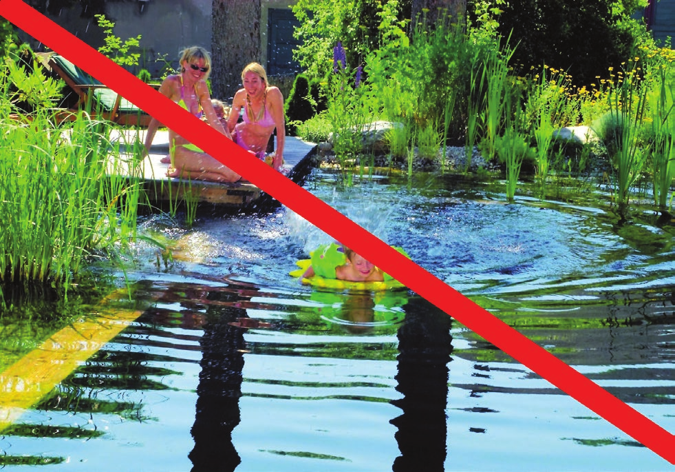 Im Schwimmteich filtern Pflanzen das Wasser. Foto: djd/Biotop