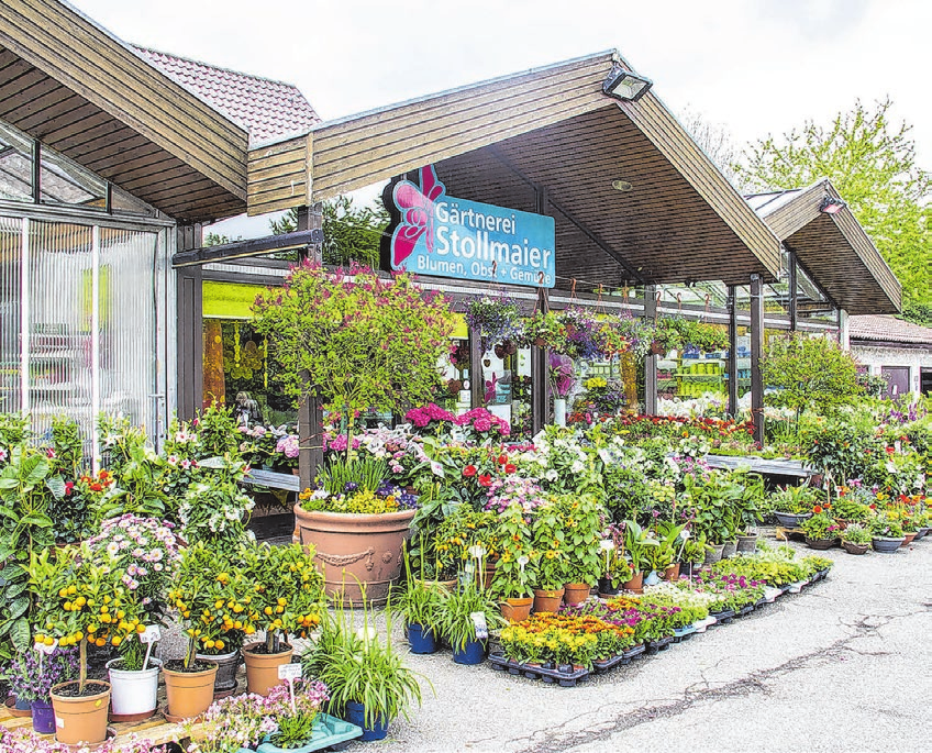 Die Gärtnerei Stollmaier mit Ladengeschäft ist in Ulm-Söflingen in der Wanne 65 zu finden. Foto: Gärtnerei Stollmaier