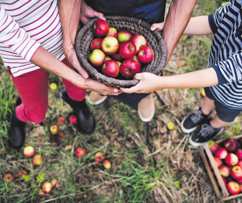 FOTO: HALFPOINT/ADOBESTOCK