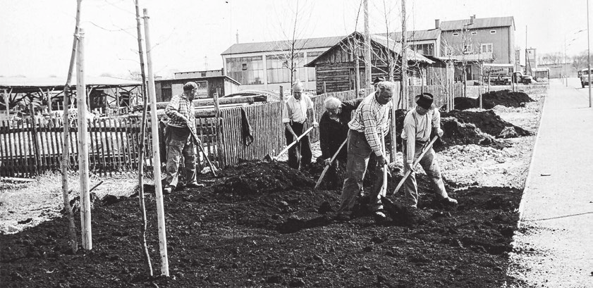Im Jahr 1959 wurden zur Verschönerung Bäume gepflanzt.