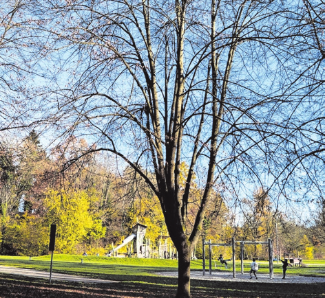Der Stadtpark lockt mit vielen Freizeitmöglichkeiten.