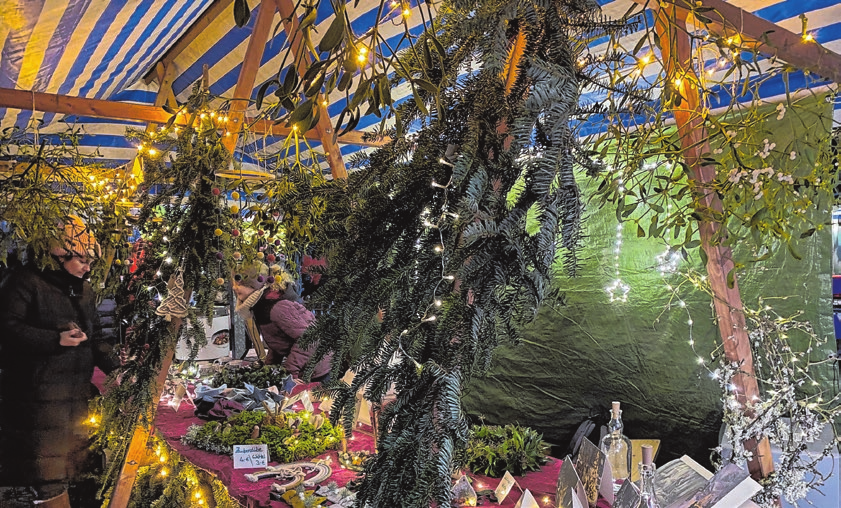 <span id="itcnh">Fotos: Claudia Holzer-Rohrer</span>