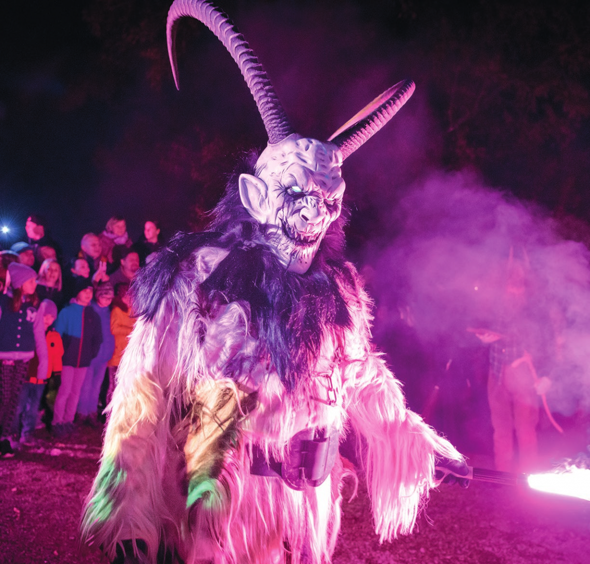 Foto: jokumaxx - stock.adobe.com