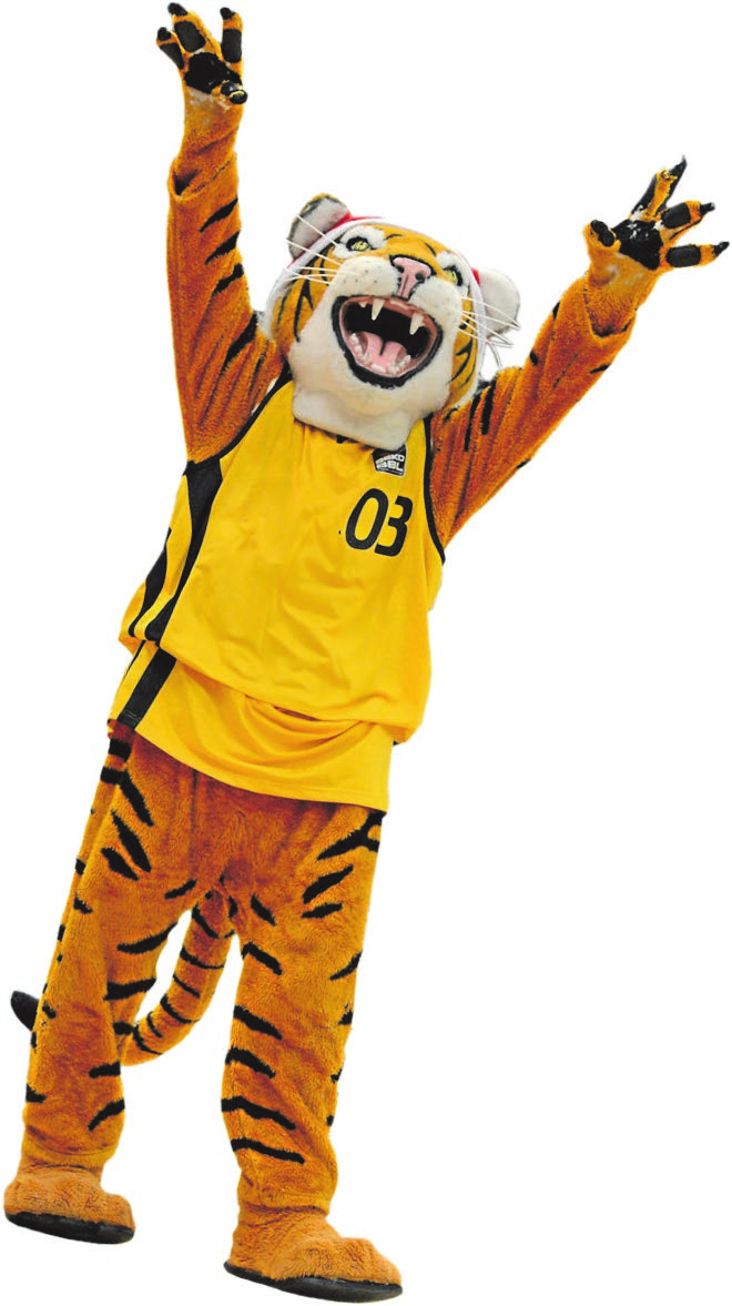 Example caption here