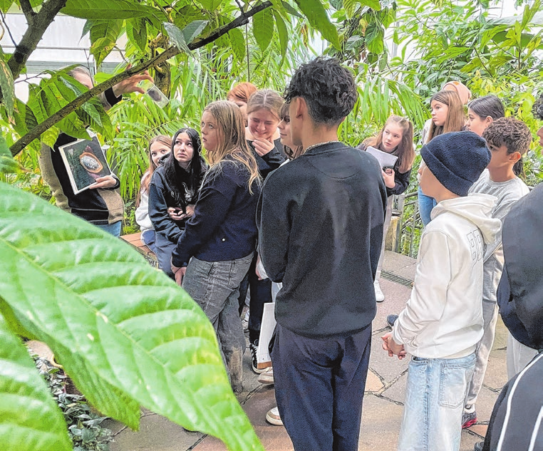 Janne Reinecke vom Botanischen Garten zeigt die Kakaobohne.