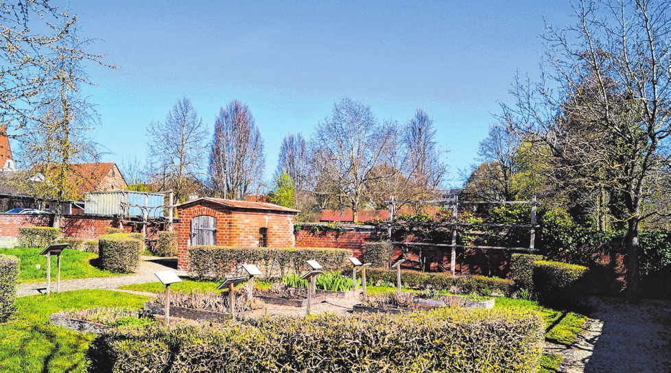 Der Kräutergarten ist Teil des Lehrer Gartens, der neben den vielen Pflanzen auch Raum für Begegnungen bietet.