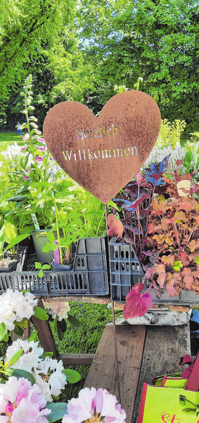 <span id="irn42">Fotos: Bettina Puth</span>