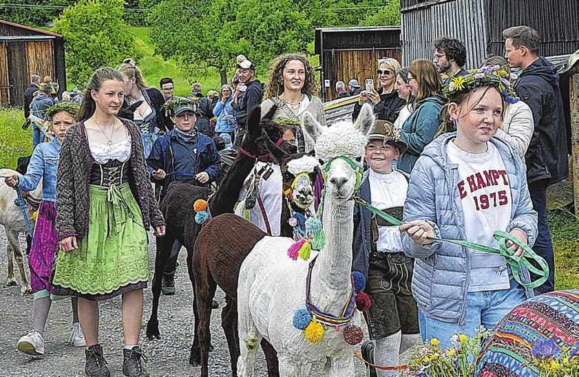 Ein Bild vom letztjährigen „Almauftrieb“, der am Pfingstmontag zum dritten Mal stattfindet.