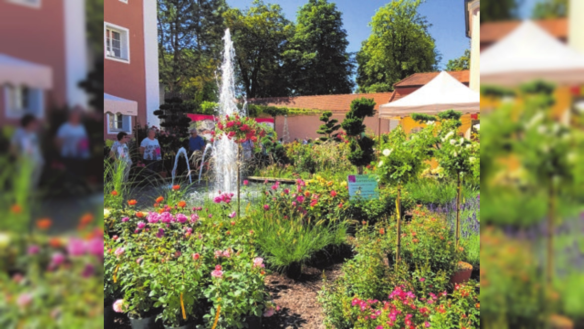 Gartentrends 2022 DIGA Gartenmesse im Kloster Wiblingen Südwest Presse
