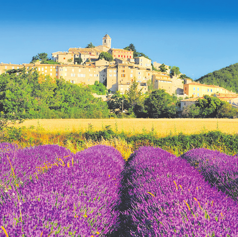 In der französischen Provence kann man die Schönheit der Natur und die reiche kulinarische Tradition der Region genießen Foto: Tilio & Paolos_stock.adobe.com