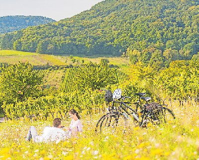 Picknick im hohen Gras am Radweg Deutsche Weinstraße