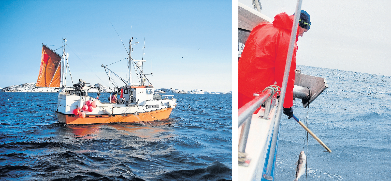 ,,Mit Fischern, die eine Woche lang auf See sind, arbeiten wir nicht. Küstenfischer fahren meistens mit kleinen Booten raus, sie sind nur einen bis drei Tage unterwegs und liefern sehr frische Fische ab. Ich kenne einige Fischer persönlich", unterstreicht Michel Gallo. Fotos: C.<br/>