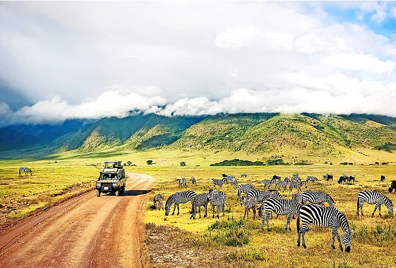 Auf Safari im Ngorongoro Krater Nationalpark in Tansania. FOTO: DELBARS - STOCK.ADOBE.COM