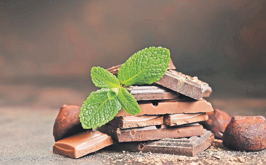Vielseitig verwendbar ist der Tausendsassa Minze, hier mit Schokolade. FOTO: GETTY IMAGES/LILECHKA75