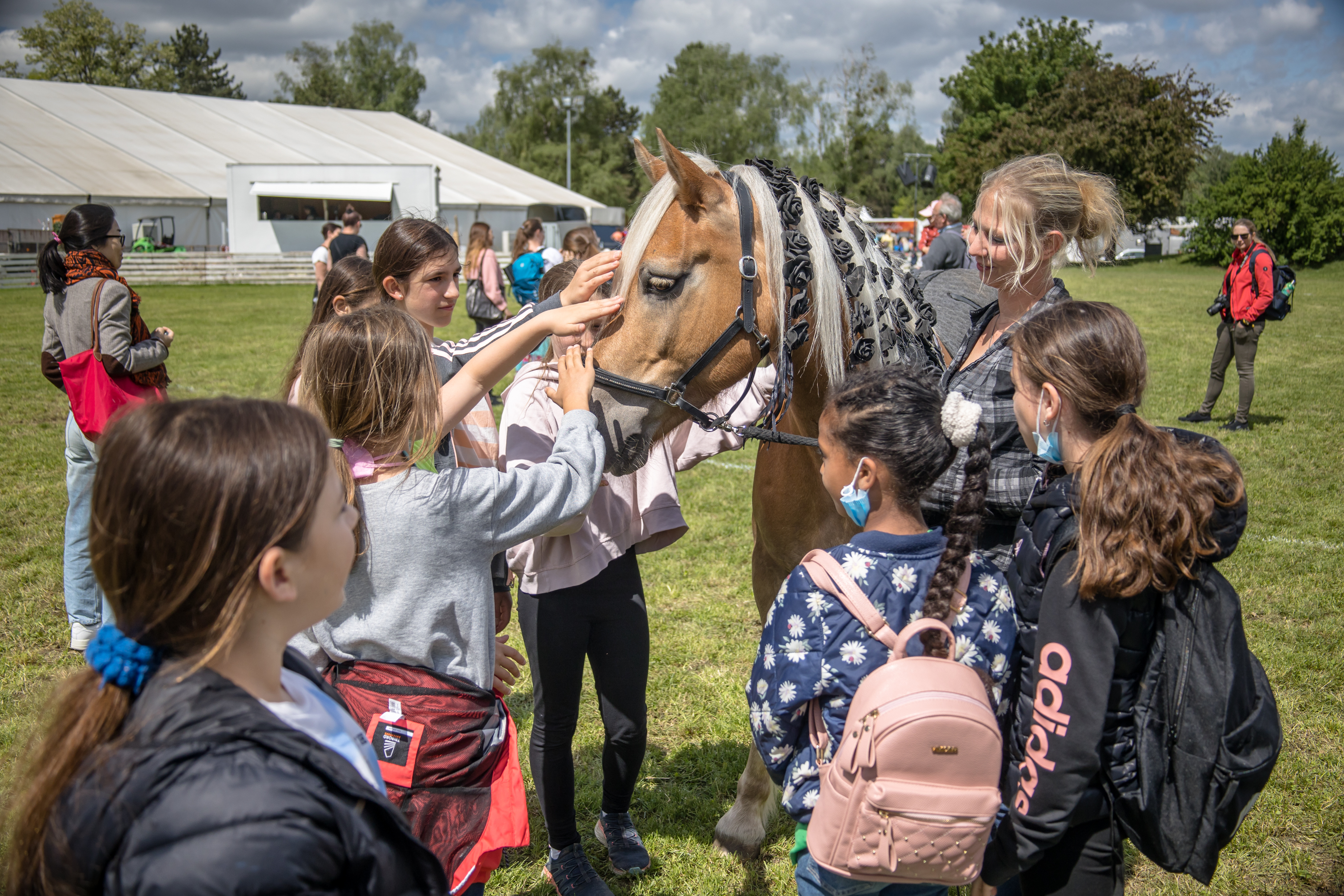 Der Tag der Schulen verzaubert die jüngsten Besucher von Pferd International München, wo die Kinder auf Tuchfühlung mit den Vierbeinern gehen können. Ⓒ PETRA HAPKE