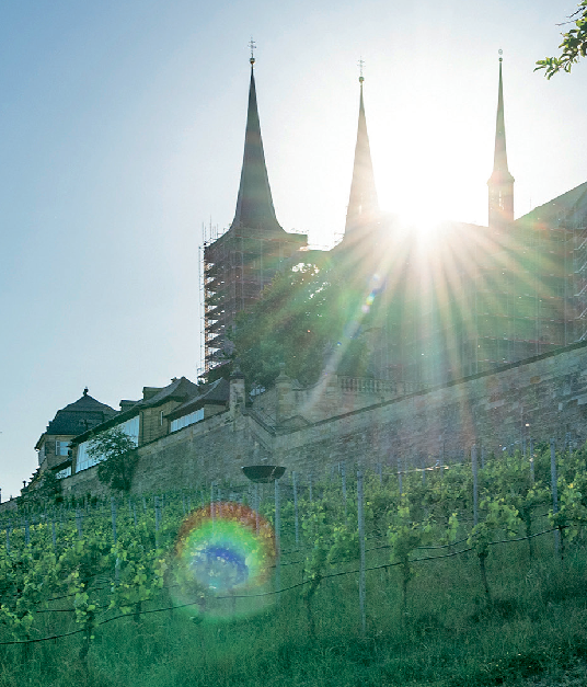 Idyllisch umgeben von Weinreben thront die Klosteranlage Michelsberg über Bamberg. 