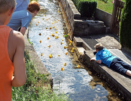 Am Nachmittag findet das Entenrennen statt.