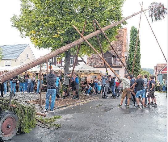 Die Kerwafichte wird am Samstag um 15 Uhr in aufrechte Position gebracht. Eine Stunde vorher sind die Jungburschen an der Reihe und stellen einen eigenen Baum auf. Fotos: Nicole Gunkel (5)