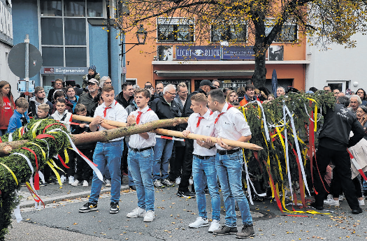 Das Aufstellen des schmucken Kirchweihbaums zählt zu den Höhepunkten der Festtage in der Münsterstadt.