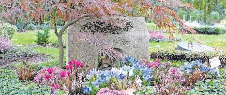 Der Gang zum Friedhof ist für viele Hinterbliebene eine Gelegenheit stille Zwiesprache zu halten. Pflanzen mit ihrem bunten Farbspiel helfen dabei den Trauernden. FOTO: GDF 