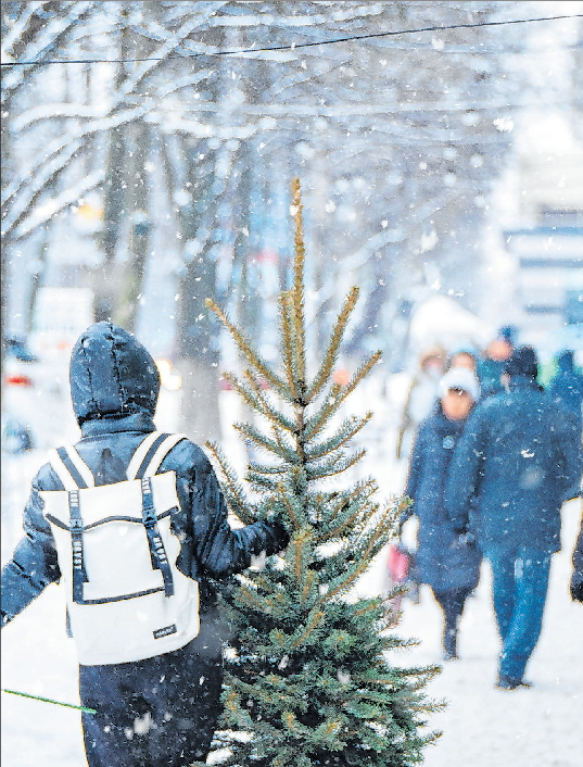 Viele Menschen lieben das Weihnachtsfest und beginnen schon lange vor dem Fest mit Vorbereitungen wie dem festlichen Schmücken des Hauses und dem Kauf des Christbaums. Fotos: Pixabay/Pexels