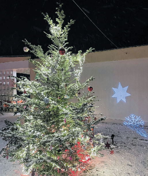 Die Kita „Sonnenblume“ aus Neuzelle hat gemeinsam mit den Kindern und Eltern diesen schönen Tannenbaum geschmückt. Fotos: Kita Sonnenblume