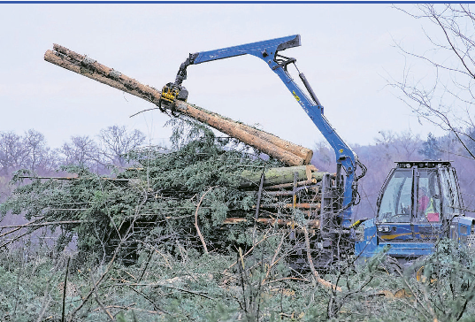 Fachbetriebe bieten vielfältige technische Helfer und Dienstleistungen an - für jedes Anliegen.