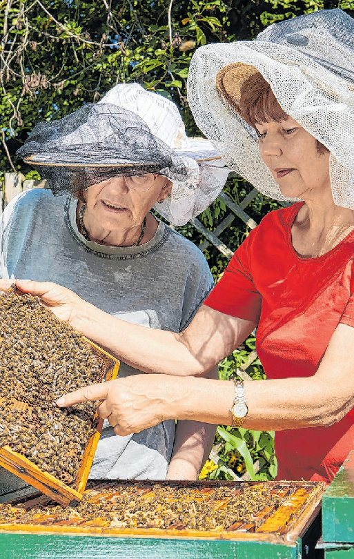 Imkerinnen in der Bienenstadt Foto: Matthias Jankowiak