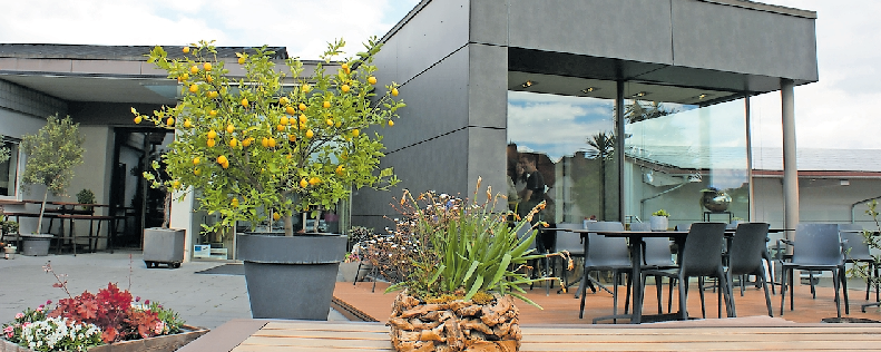 Alte Probierstube neu gedacht: In der modernen Vinothek vom Weinhaus Anton in Kirrweiler können die Gäste Weine und Sekte in ganz besonderer Atmosphäre kosten. FOTO: STEFAN ENDLICH