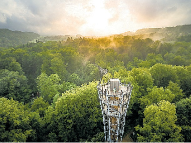 Atemberaubende Ausblicke auf den Teutoburger Wald: Bad Iburg lockt mit einem 600 Meter langen Baumwipfelpfad. FOTO MAX WIESENBACH