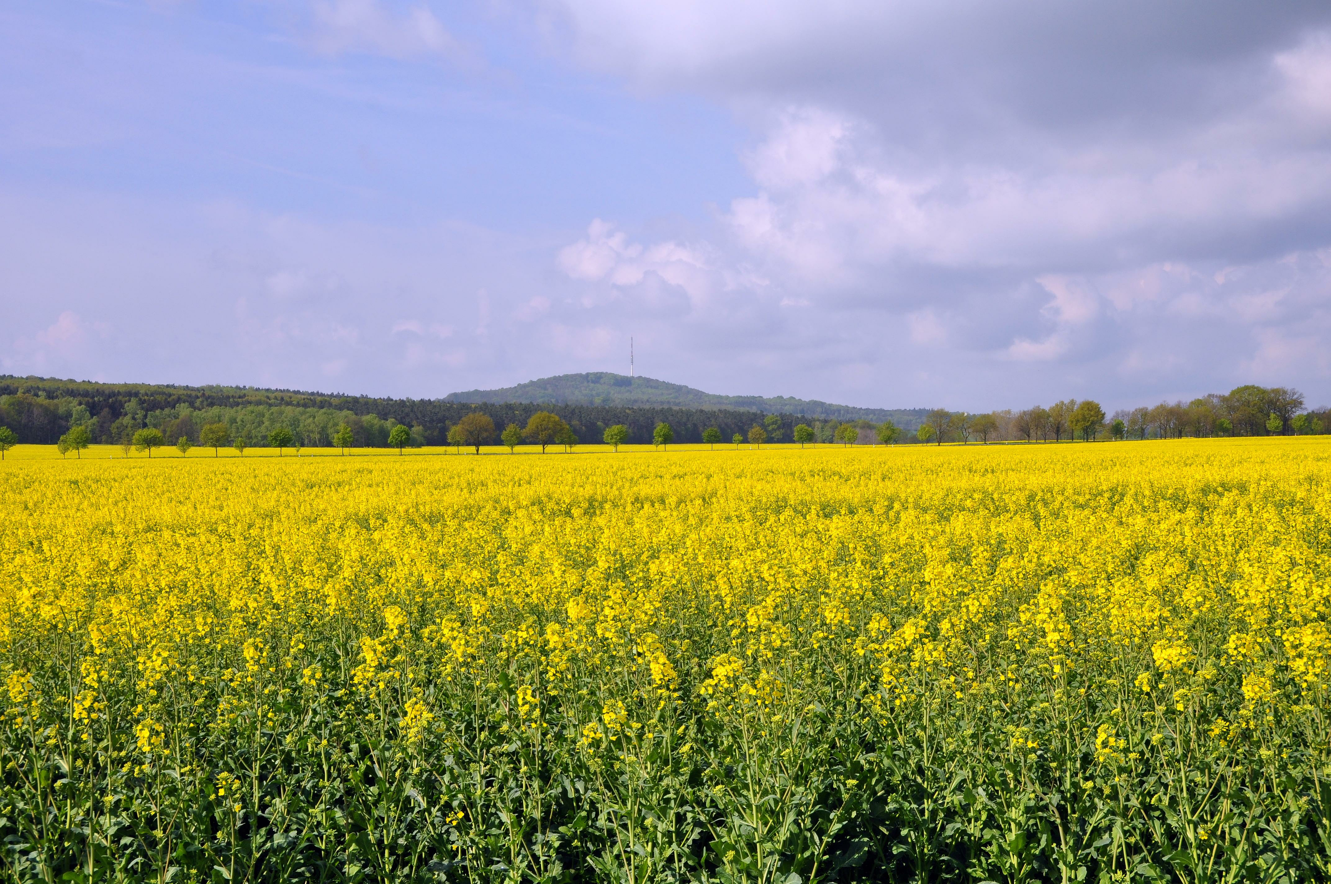 5 Der Kleine mit der riesigen Aussicht