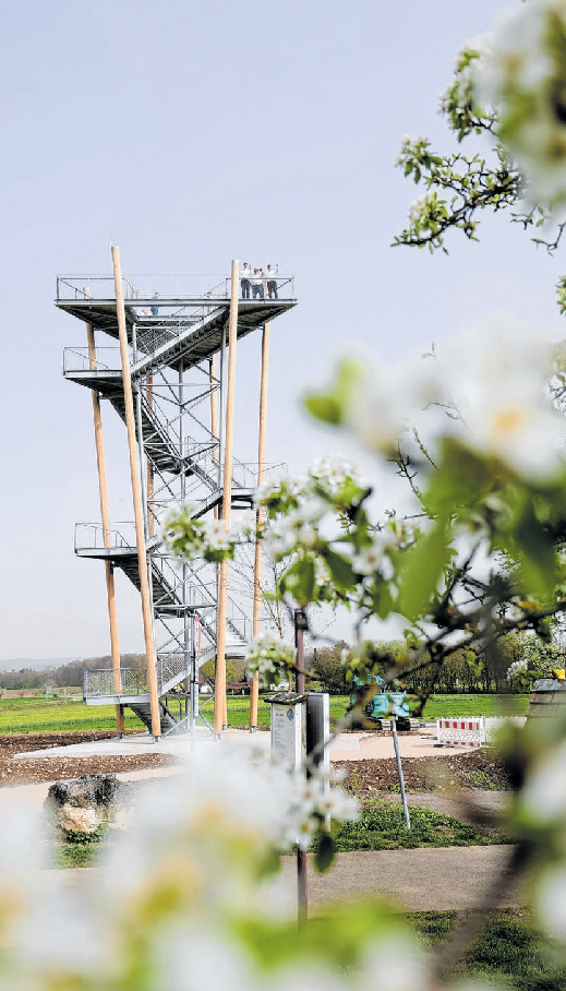 Am Wanderparkplatz „Hochholz“ wurde ein Turm errichtet. Er dient weniger der Aussicht, sondern der Draufsicht.